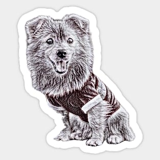 Pomeranian Portrait - Pomeranian Gift Black and White Sketch Sticker